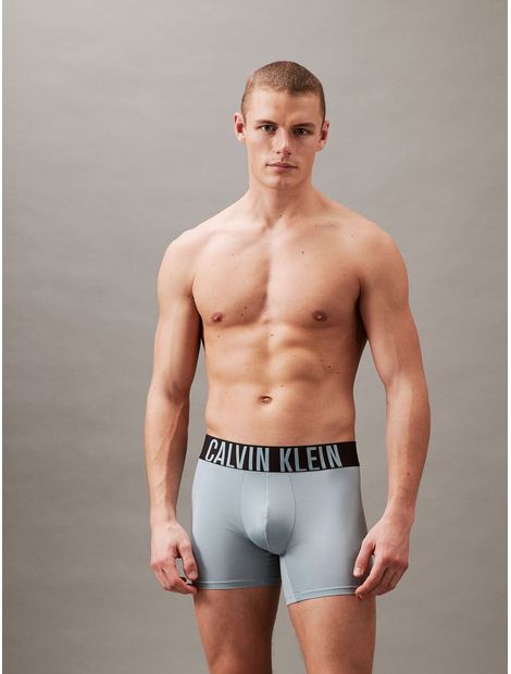 Hombres en boxer gris sale